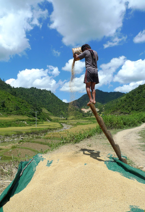 Thiết kế sân vườn, thiết kế sân vườn biệt thự, thiết kế sân vườn đẹp, sân vườn biệt thự, sân vườn sinh thái, biệt thự sinh thái, thiết kế sân vườn tiểu cảnh, thiết kế sân vườn cảnh quan, thiết kế hồ Koi, thiết kế hồ cá Koi, thiết kế hồ cá chép Nhật, thiết kế hồ cá chép rồng, thiết kế vườn treo, thiết kế vườn trên mái, thiết kế vườn nước, thiết kế vườn Nhật, thiết kế vườn khô, thi công sân vườn, thi công sân vườn biệt thự, thi công sân vườn đẹp, thi công sân vườn tiểu cảnh, thiết kế cảnh quan, thiet ke canh quan, thi công sân vườn cảnh quan, thiết kế tiểu cảnh, giếng trời, thiet ke tieu canh, gieng troi,  thi công tiểu cảnh, giếng trời,  thi công cảnh quan, thi công hồ Koi, thi công hồ cá Koi, thi công hồ cá chép Nhật, thi công vườn treo, thi công vườn trên mái, thi công vườn NhậtThiết kế sân vườn, thiết kế sân vườn biệt thự, thiết kế sân vườn đẹp, sân vườn biệt thự, sân vườn sinh thái, biệt thự sinh thái, thiết kế sân vườn tiểu cảnh, thiết kế sân vườn cảnh quan, thiết kế hồ Koi, thiết kế hồ cá Koi, thiết kế hồ cá chép Nhật, thiết kế hồ cá chép rồng, thiết kế vườn treo, thiết kế vườn trên mái, thiết kế vườn nước, thiết kế vườn Nhật, thiết kế vườn khô, thi công sân vườn, thi công sân vườn biệt thự, thi công sân vườn đẹp, thi công sân vườn tiểu cảnh, thiết kế cảnh quan, thiet ke canh quan, thi công sân vườn cảnh quan, thiết kế tiểu cảnh, giếng trời, thiet ke tieu canh, gieng troi,  thi công tiểu cảnh, giếng trời,  thi công cảnh quan, thi công hồ Koi, thi công hồ cá Koi, thi công hồ cá chép Nhật, thi công vườn treo, thi công vườn trên mái, thi công vườn Nhật